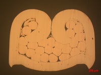 1594020663233662.jpg 壓接截點(diǎn)橫截面觀(guān)察-.jpg